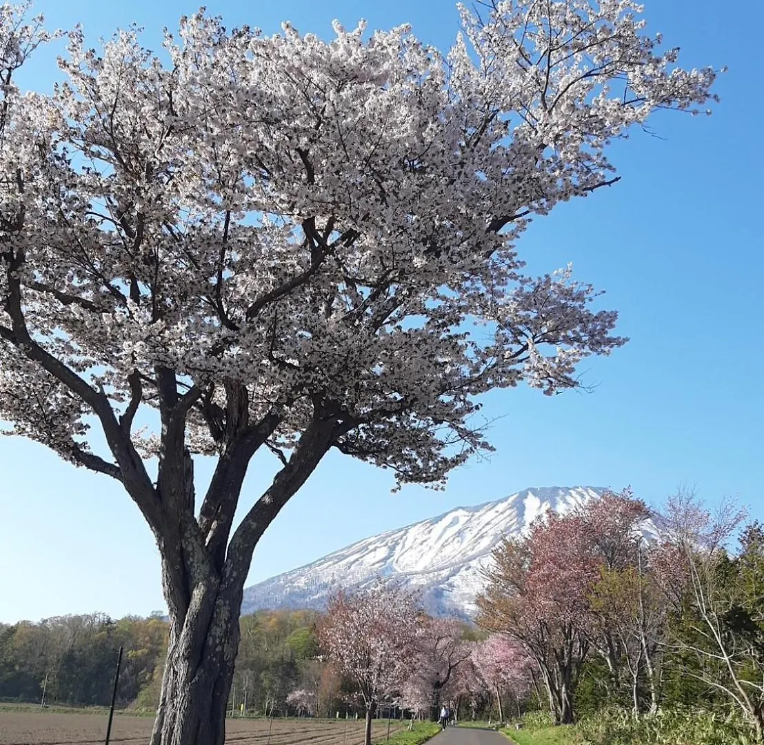 Alloggio in famiglia Tr Niseko House Room Sky Giappone